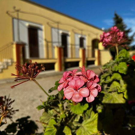 Agriturismo Il Trappeto 갈리폴리 외부 사진
