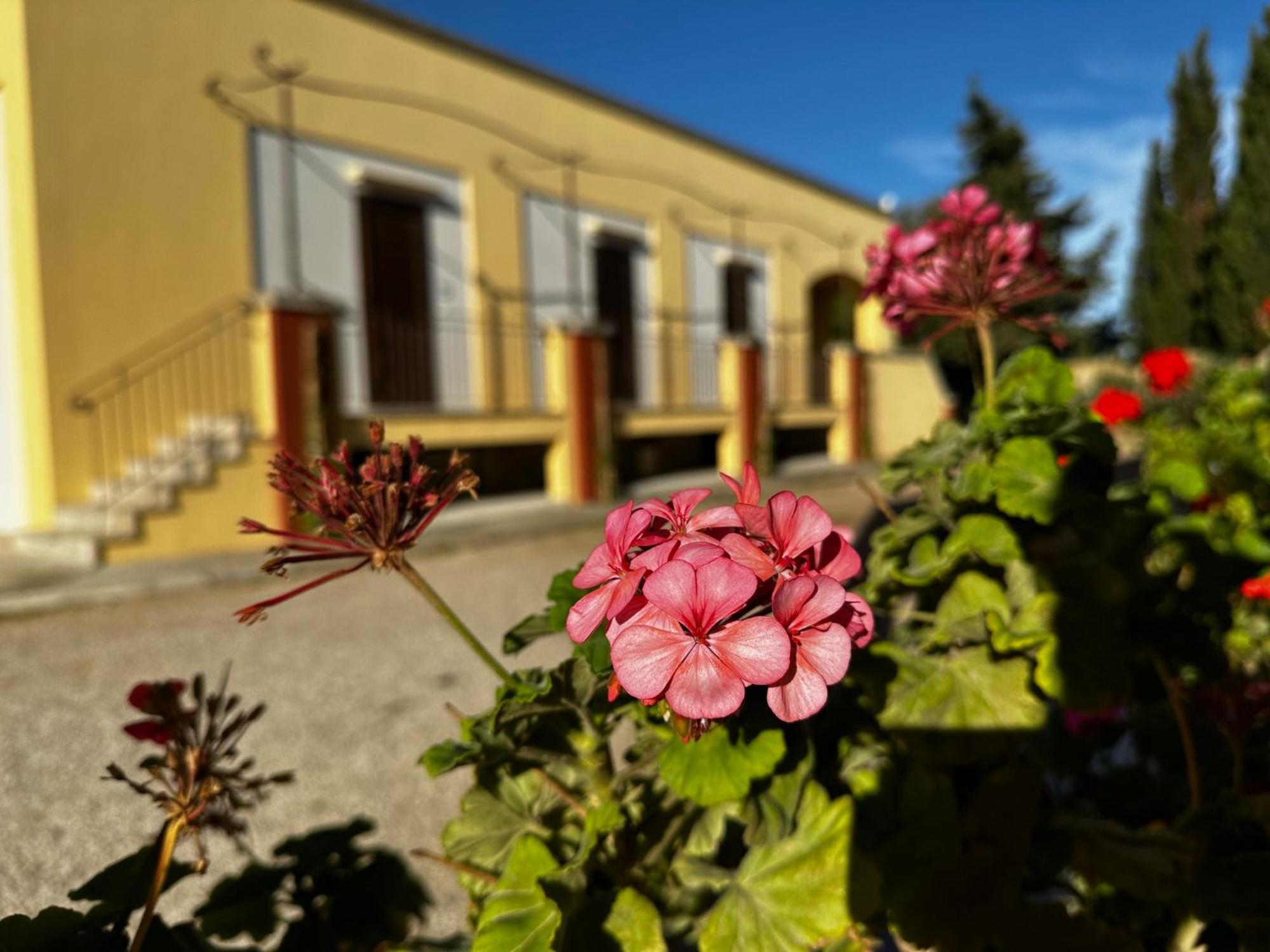 Agriturismo Il Trappeto 갈리폴리 외부 사진
