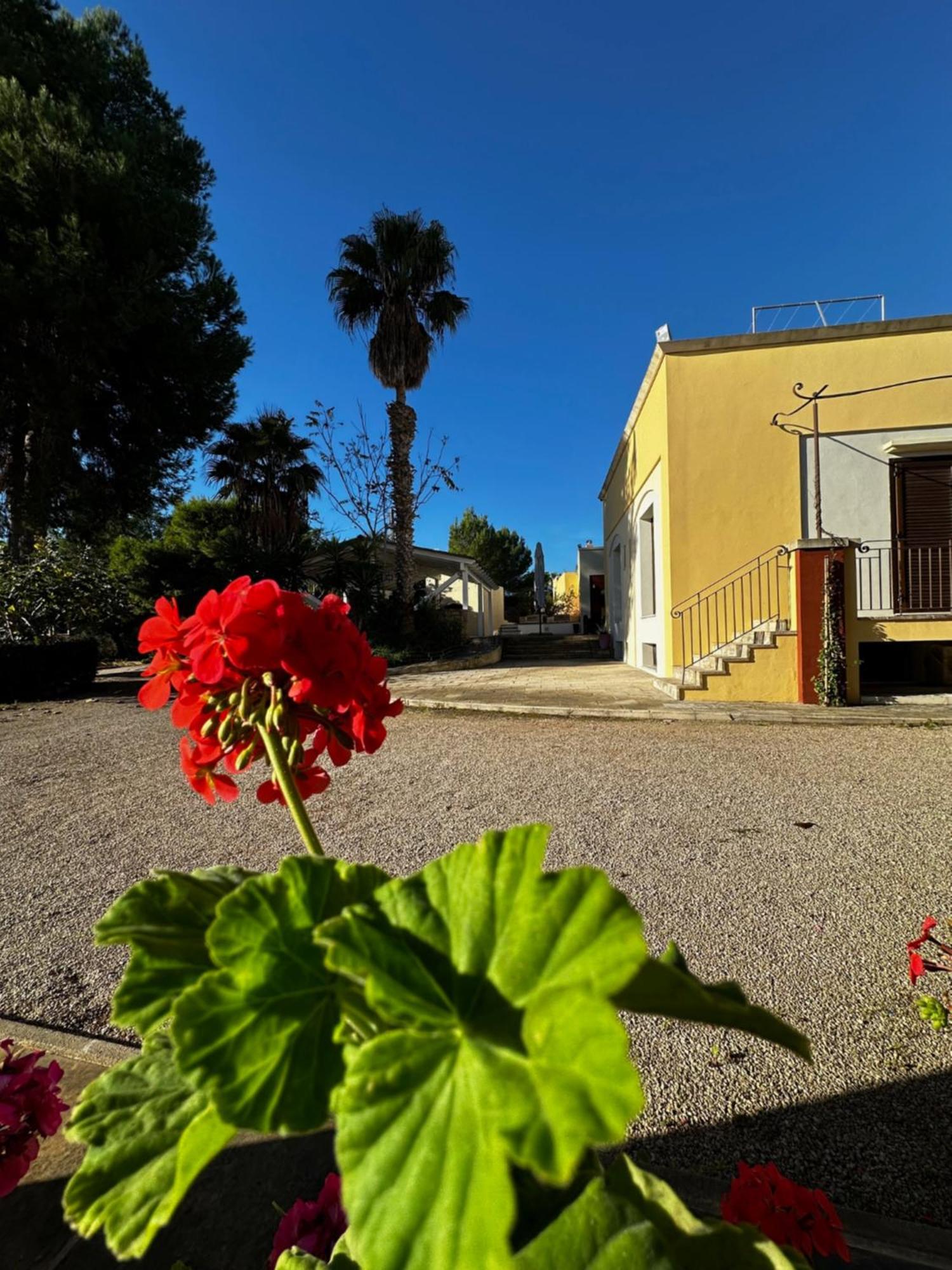 Agriturismo Il Trappeto 갈리폴리 외부 사진